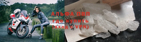 спиды Богородск