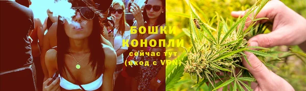 шишки Богданович