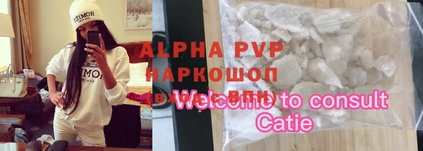 крисы Богородицк
