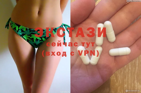 крисы Богородицк