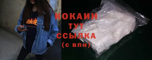 спиды Богородск