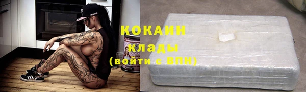 крисы Богородицк