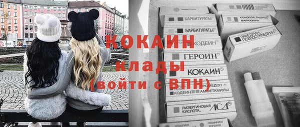 крисы Богородицк