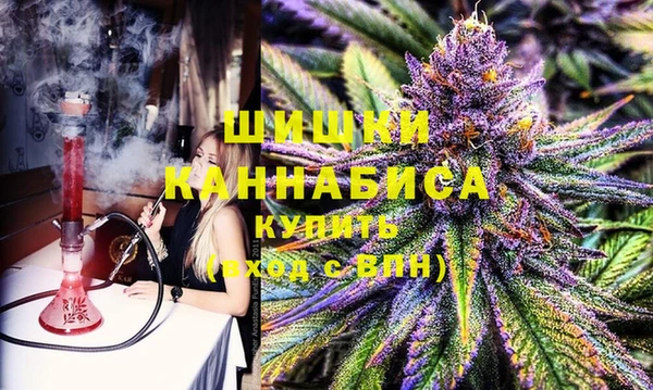 шишки Богданович