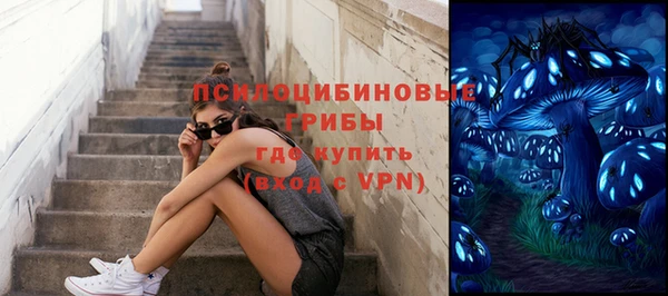 шишки Богданович