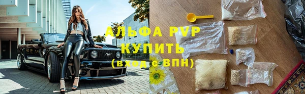спиды Богородск