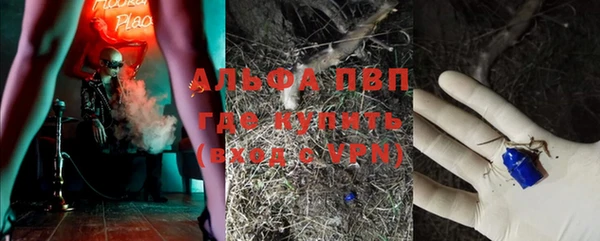 шишки Богданович