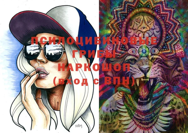 шишки Богданович