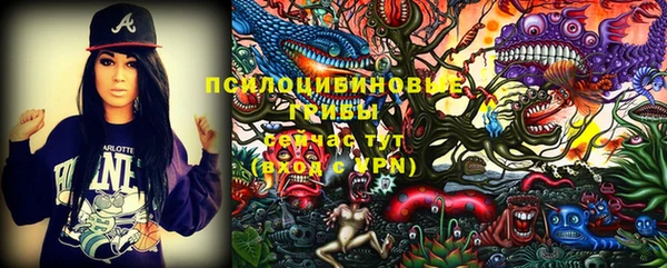 шишки Богданович